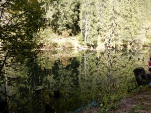 image433